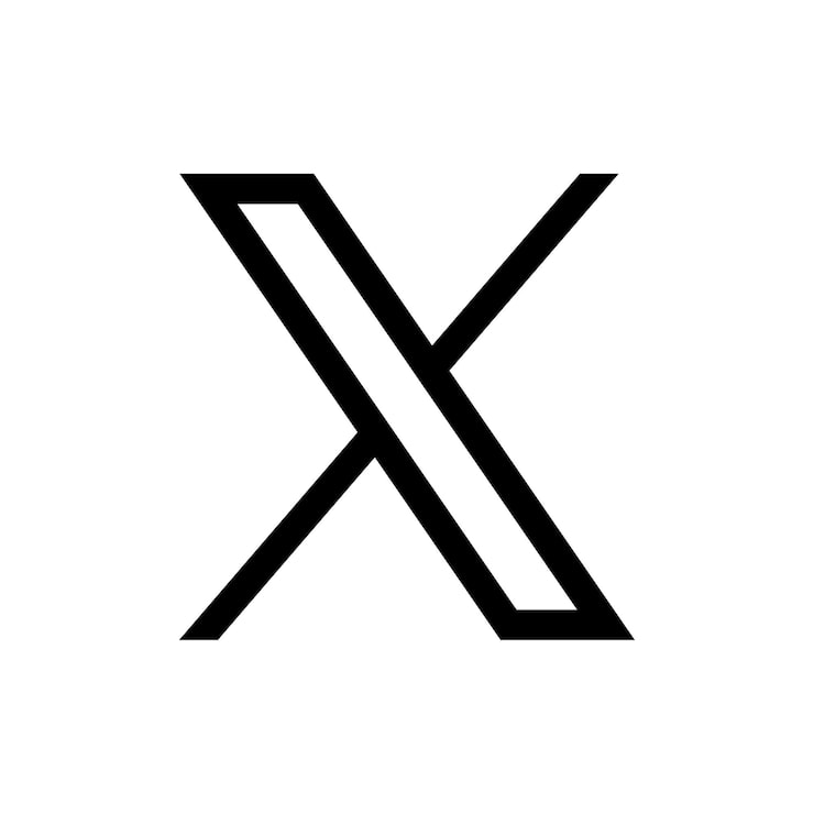 A bold, black letter X with a white diagonal stripe through the center on a white background.